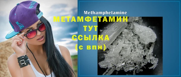 гидра Михайловка