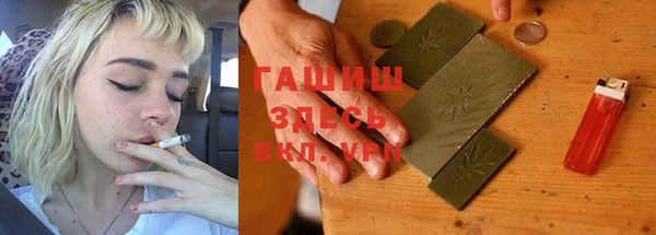 гидра Михайловка