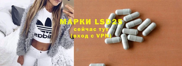гидра Михайловка