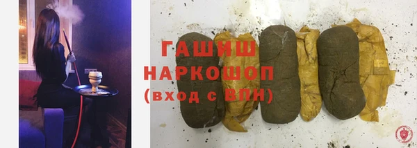 гидра Михайловка