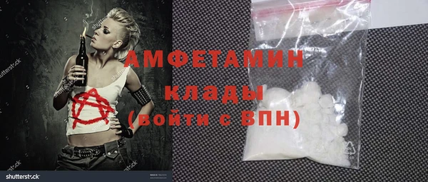 гидра Михайловка