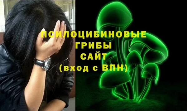 соль ск Михайловск