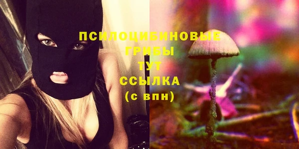 гидра Михайловка